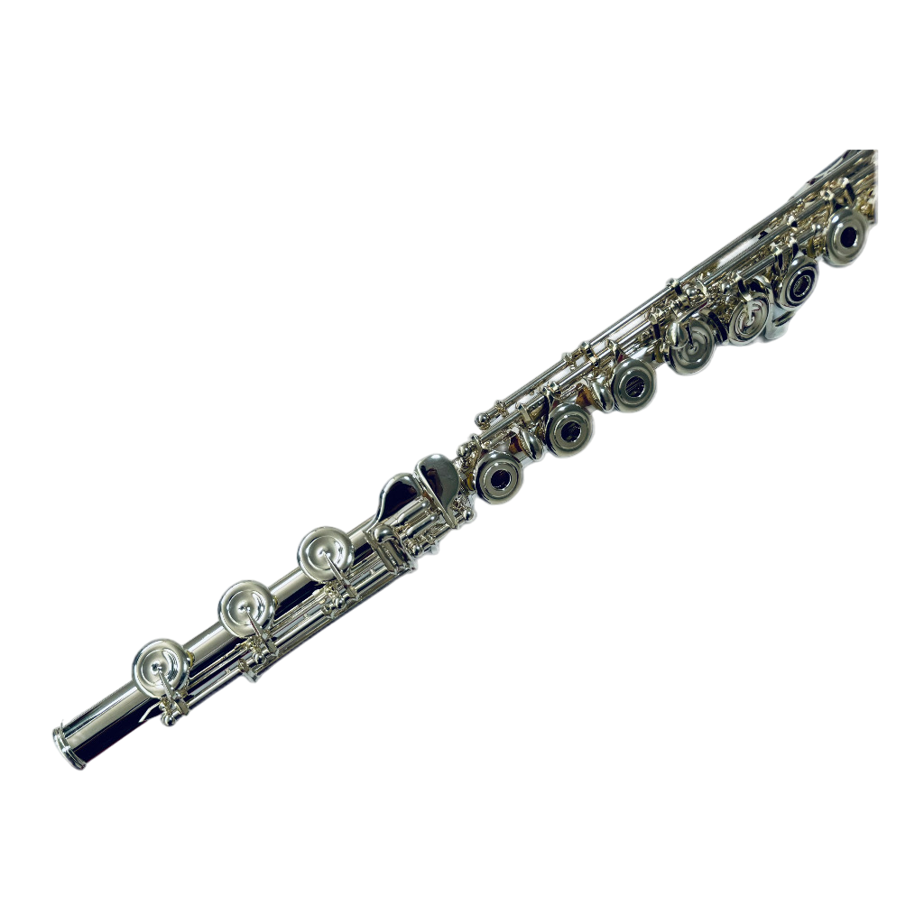 FL4817HE (1)-Фотокомната