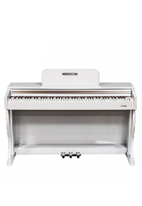 Оптовое взвешенное электрическое цифровое пианино с двойной клавиатурой и 88 клавишами (DP7100)