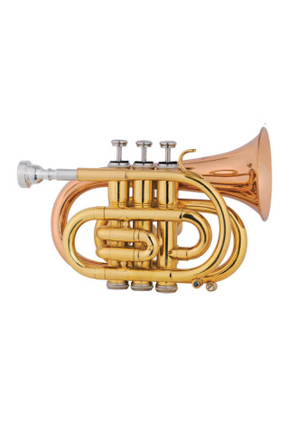 Карманная труба для студентов BB Key Advanced (HTP8504G-YYR)