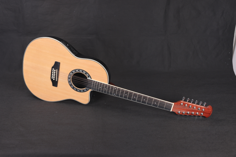 AFO29CE-12 Новая Matt Finish ABS 12 Строки круглой спины акустическая гитара