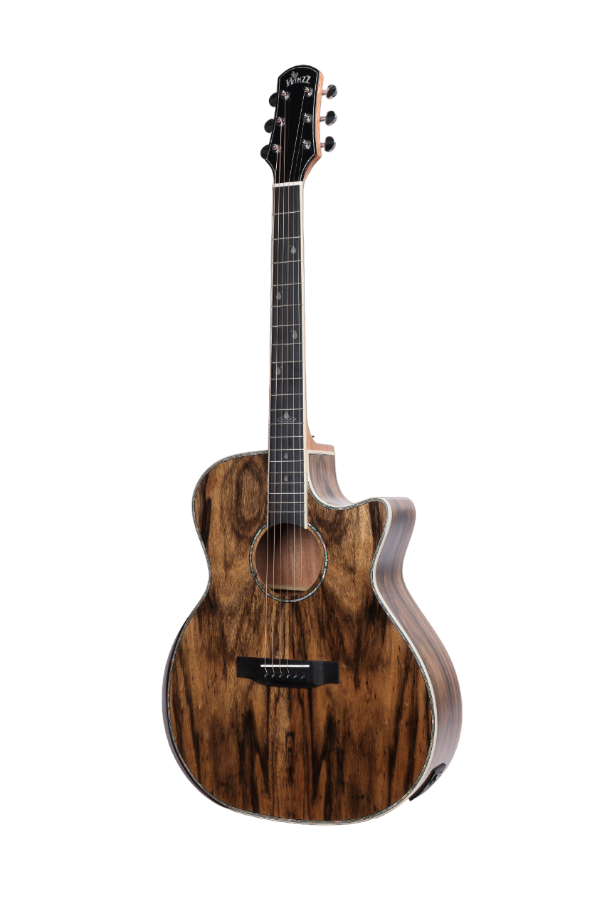 WAG901CE Акустическая гитара Winzz Exotic Material, 41 дюймов, форма GA 