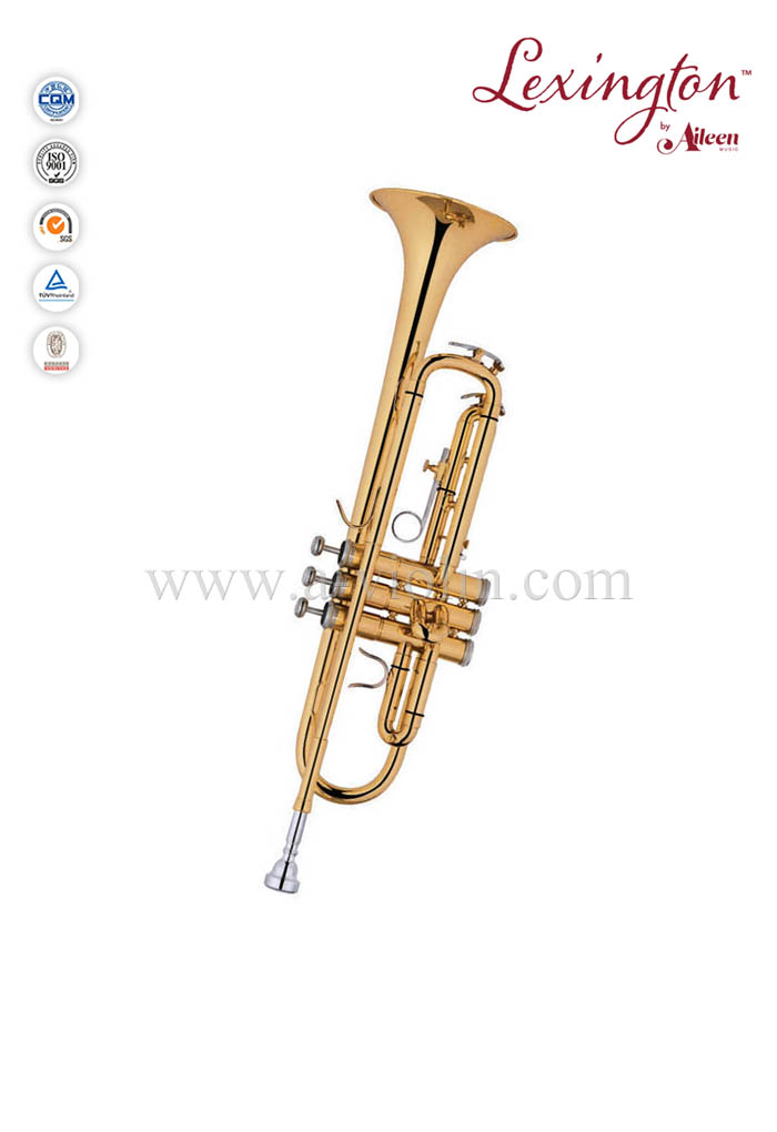 Профессиональная труба в американском стиле с корпусом премиум-класса (TP8394G)