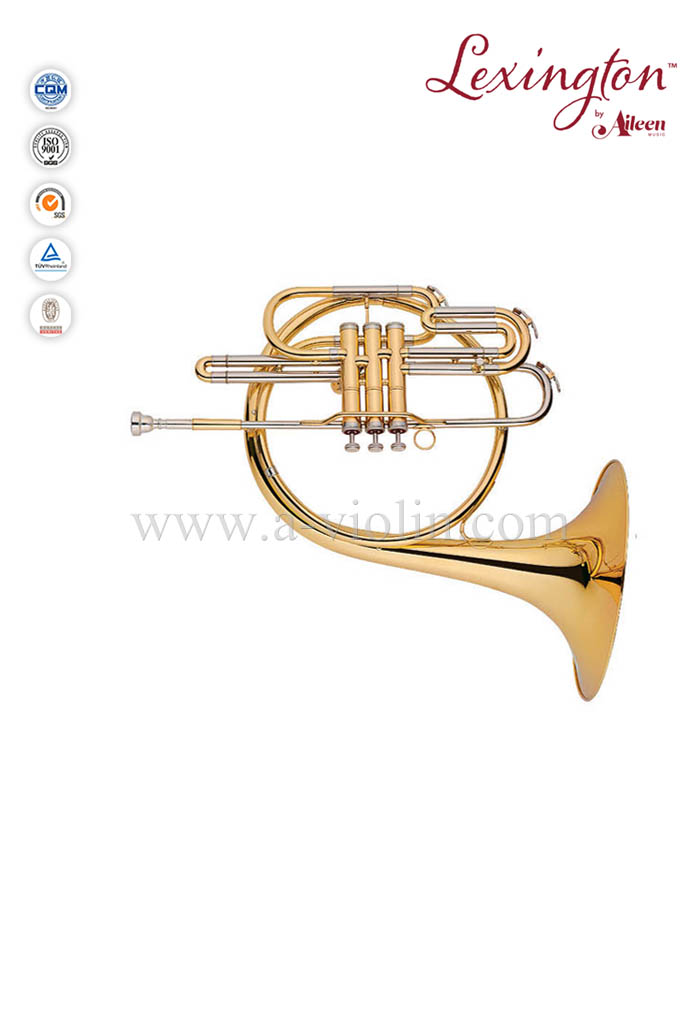 Поршневые клапаны Валторна музыкальный инструмент (FH7036P-G)