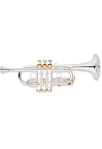 bE/D Key Высококачественная профессиональная труба из латуни (TP-S480S)