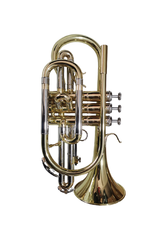 CN-G400G Professional Profy Steel Piston BB Cornet вход