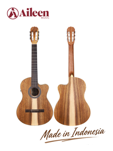 WCG604CE Классическая гитара Winzz Exotic Material, 39 дюймов, сделано в Индонезии