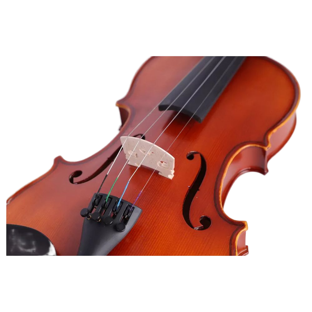 Скрипка для взрослых 4/4 All Solid Wood Violation Profesional (VG210H)