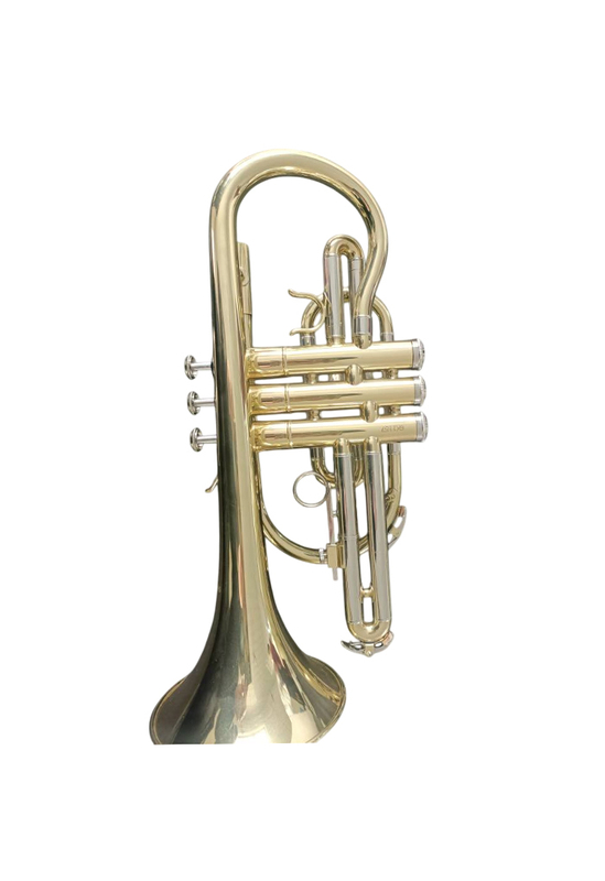 CN-G400G Professional Profy Steel Piston BB Cornet вход