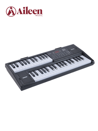 Двойная 61-клавишная клавиатура сценического органа Двойной динамик (EK61261)