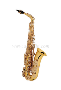 Альт-саксофон начального уровня в стиле Y с аксессуарами (SP1012G)