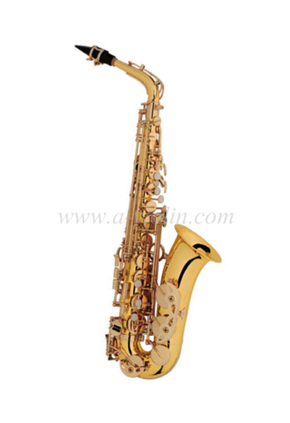 Альт-саксофон начального уровня в стиле Y с аксессуарами (SP1012G)