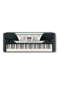 61-клавишный электронный орган/электронный клавишный инструмент (EK61202)