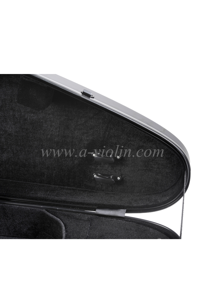Пластик-Эйлин, патент "Воздух ", серия футляр для скрипки (CSV-F18L)