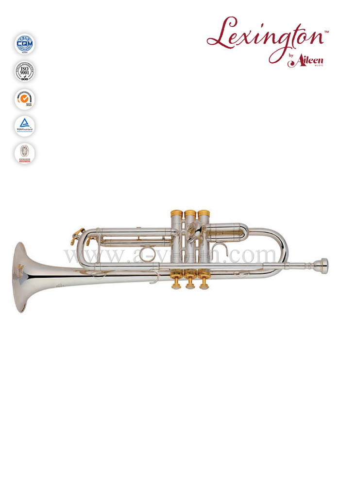 Профессиональная серебряная труба в стиле S с корпусом Premium (TP8398S)