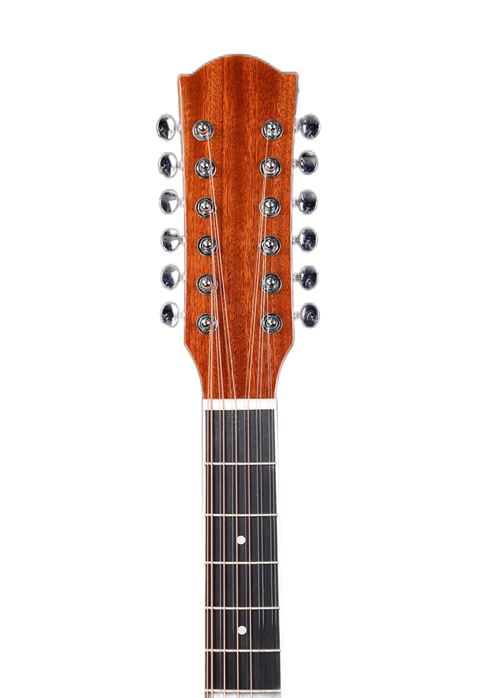 12-струнная акустическая гитара из твердой ели (AFM16CE-12)