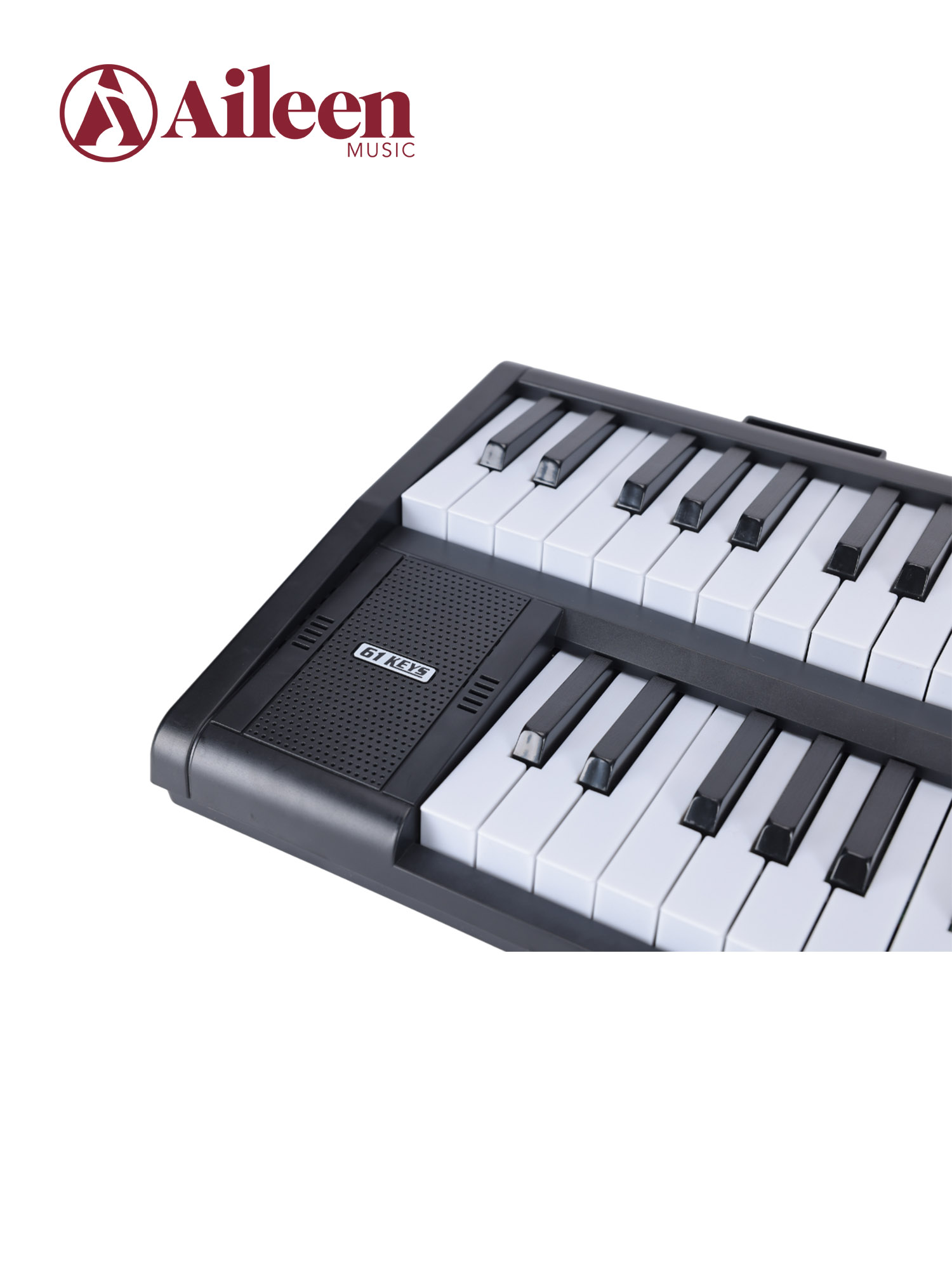 Двойная 61-клавишная клавиатура сценического органа Двойной динамик (EK61261)