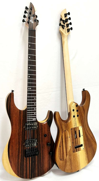 Новые профессиональные электрогитары Winzz Design Special Edition