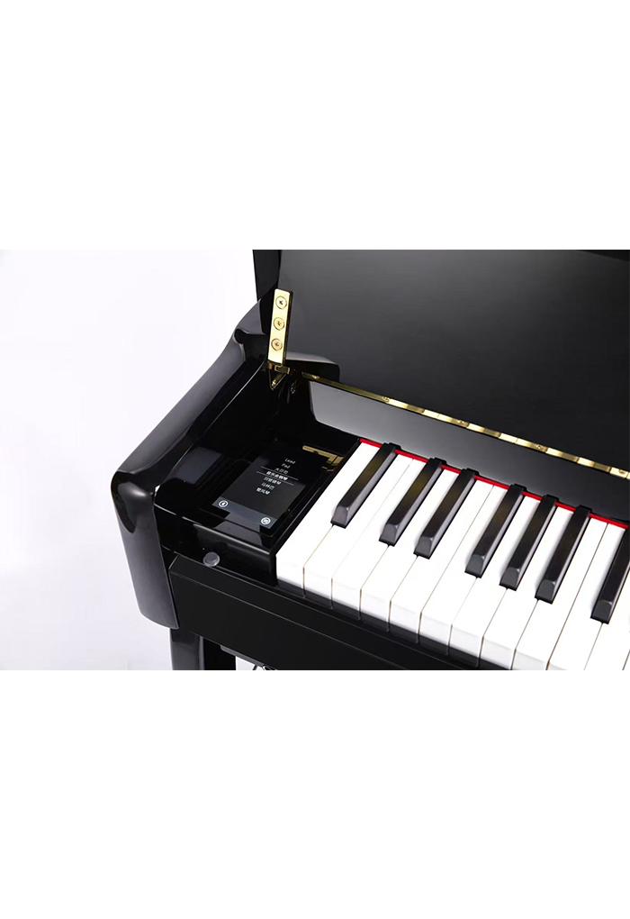 DP9006 Hot Sale 88-ключ для молотка-клавиатура Гибридный цифровой фортепиано