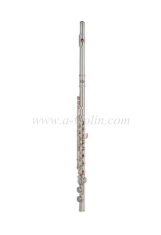 Детская флейта начального уровня с серебряным покрытием (FL4312S)
