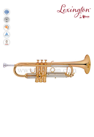 Промежуточная модель в стиле S Профессиональная труба с корпусом Premium (TP8398G)