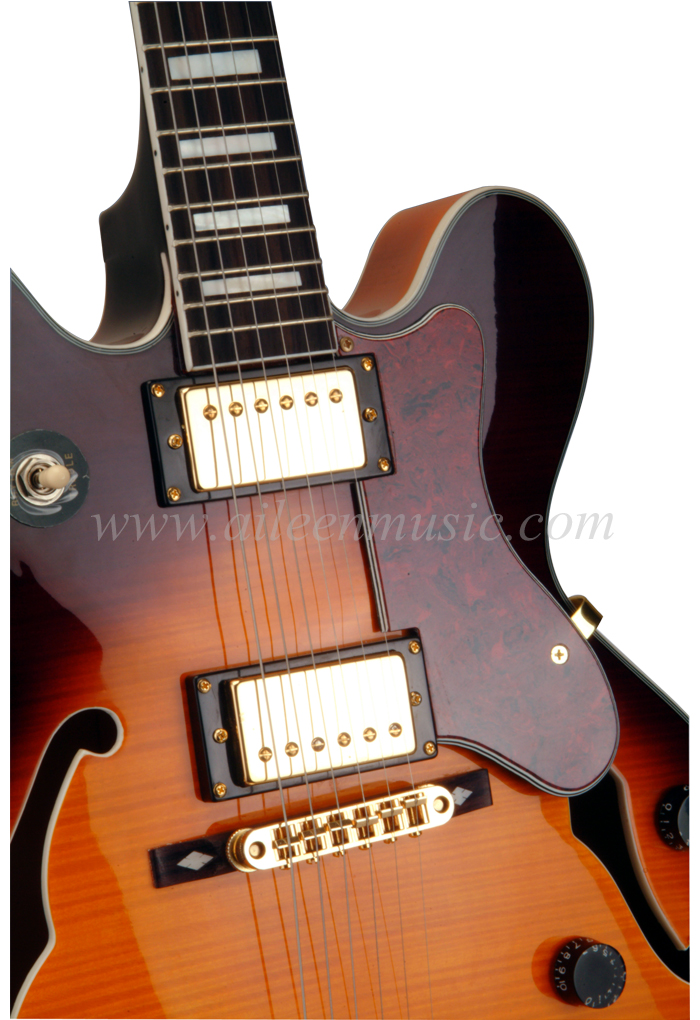 Цельнолитые полые электроджазовые гитары с двойным вырезом (EGJ280)