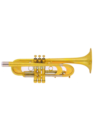 bB Key Высококачественная тяжелая труба (TP-H499P-SYY)