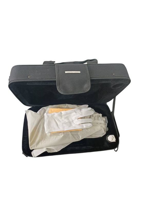 CN-G400G Professional Profy Steel Piston BB Cornet вход