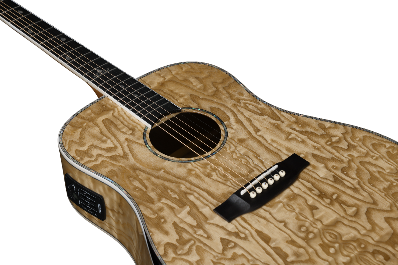 Фабрика Winzz D форма 41-дюймовая акустическая гитара глянцевая (WAG904E-D)