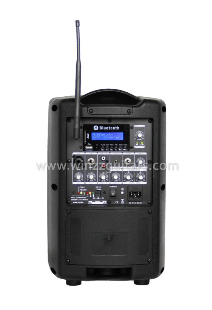Аудио 8-дюймовая беспроводная портативная акустическая система (PPS-0840MWB)