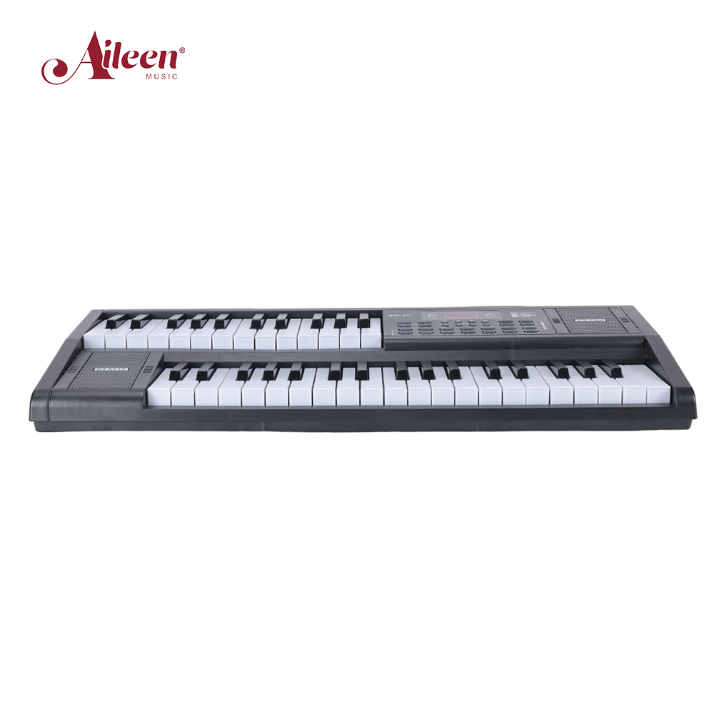 Двойная 61-клавишная клавиатура сценического органа Двойной динамик (EK61261)