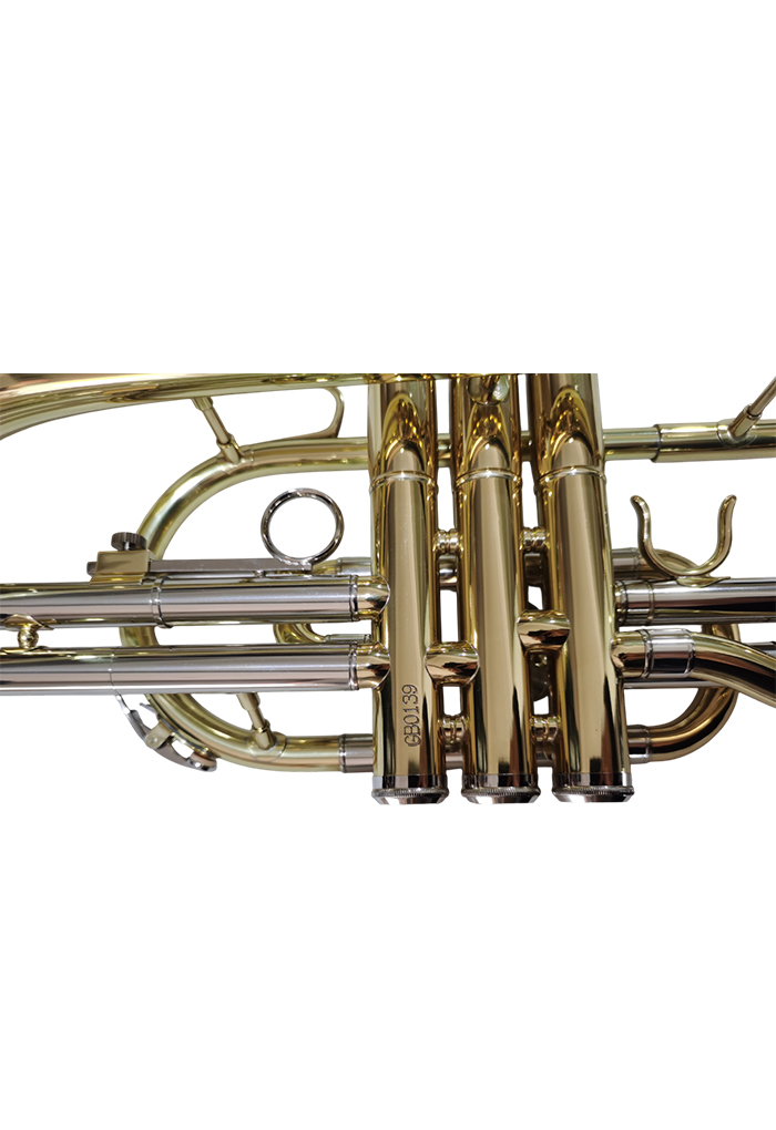 CN-G400G Professional Profy Steel Piston BB Cornet вход