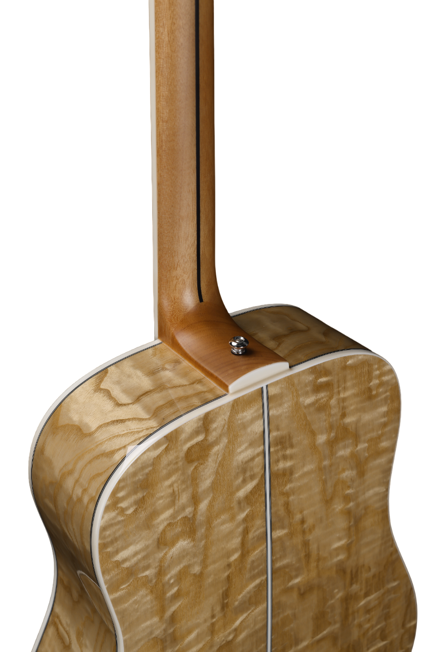 Фабрика Winzz D форма 41-дюймовая акустическая гитара глянцевая (WAG904E-D)