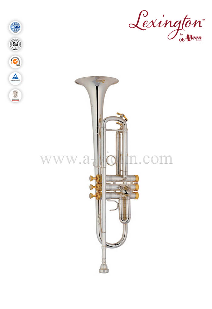Профессиональная серебряная труба в стиле S с корпусом Premium (TP8398S)
