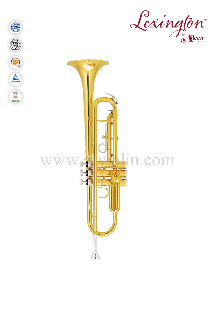 Bb Key Cupronickel с никелированным поршнем Желтая латунная труба jinbao (TP300G)