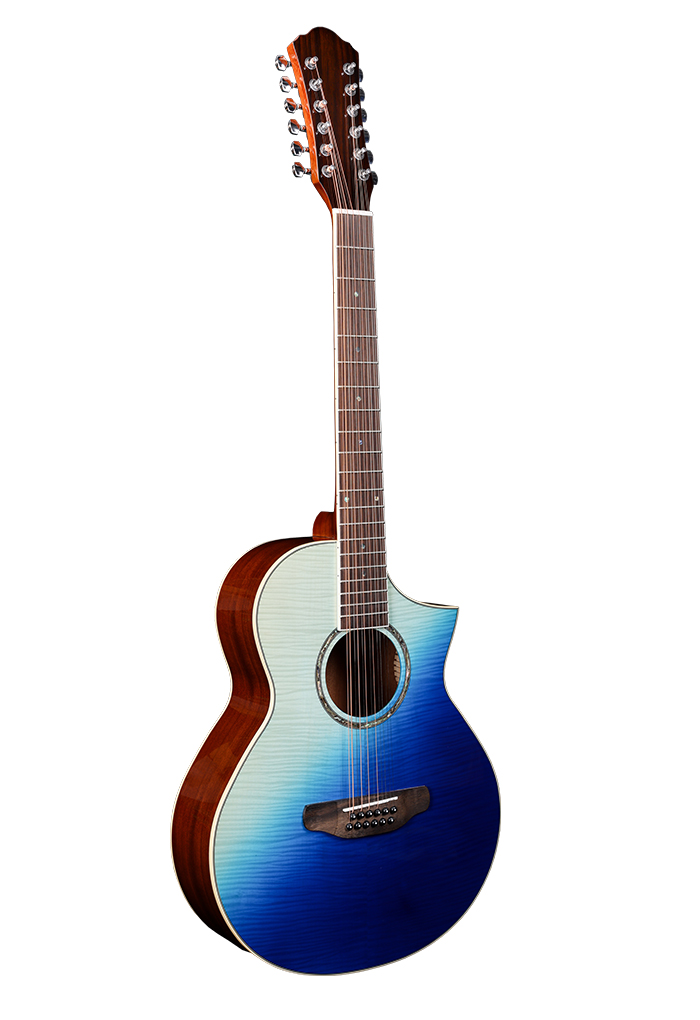 12-струнная акустическая гитара Mini Jumb (AF196LC-12)