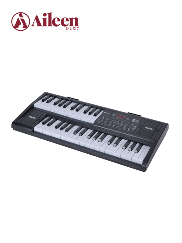 Двойная 61-клавишная клавиатура сценического органа Двойной динамик (EK61261)