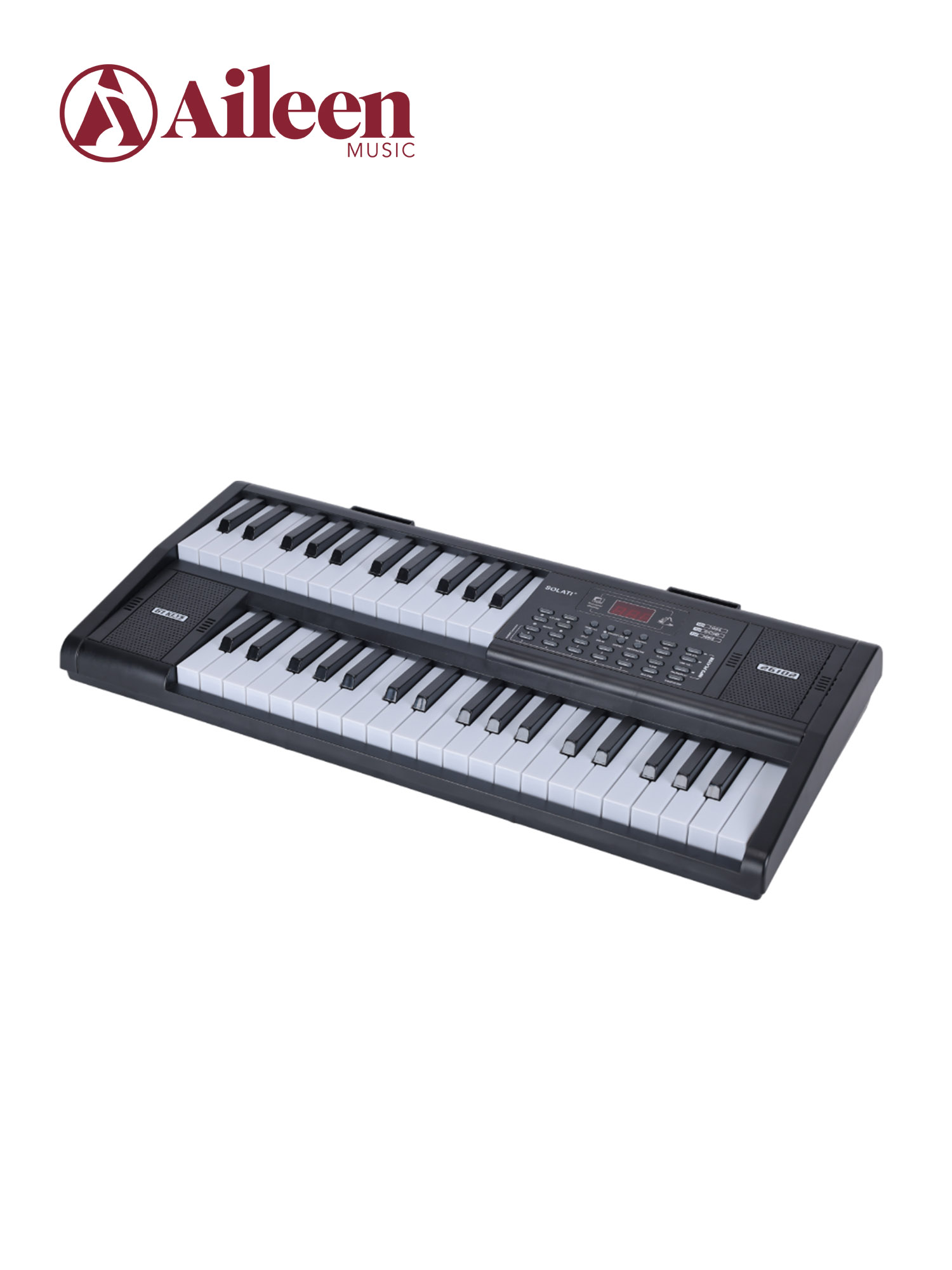 Двойная 61-клавишная клавиатура сценического органа Двойной динамик (EK61261)