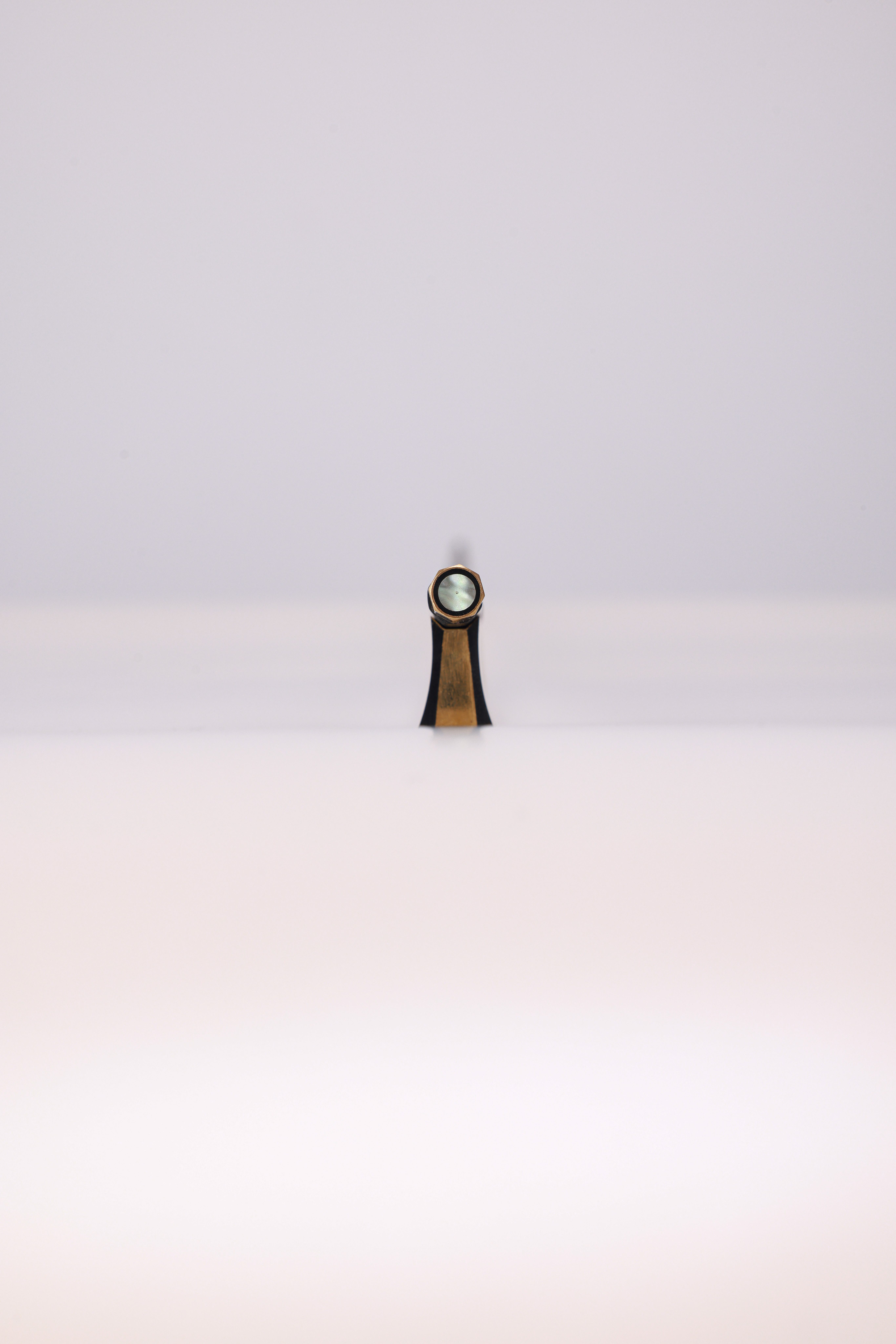 Студенческий смычок для скрипки из углеродного волокна с эбеновой лягушкой и ушками (WV885C)