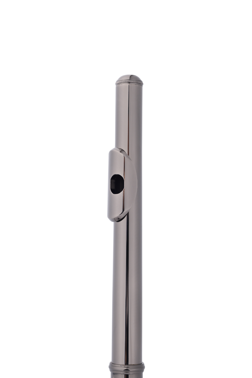 Fl4011nb-e Профессиональные ветровые инструменты 16 лунок Cupronickel Body Black Nickel Flute