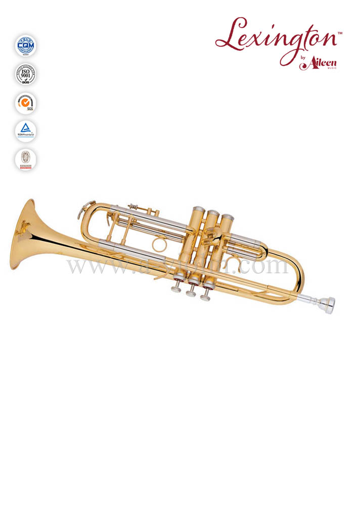 Профессиональная труба в стиле BH с футляром премиум-класса (TP8390G)