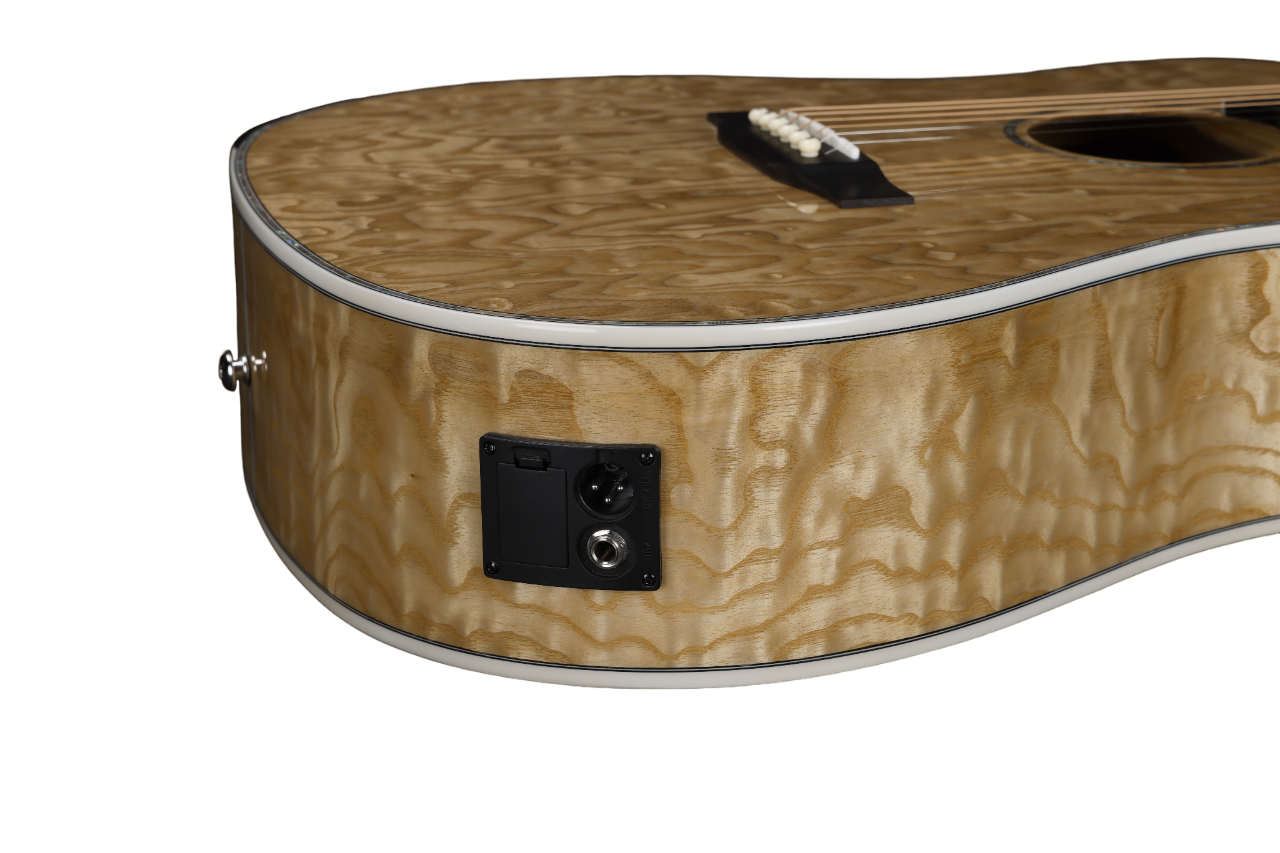 Фабрика Winzz D форма 41-дюймовая акустическая гитара глянцевая (WAG904E-D)