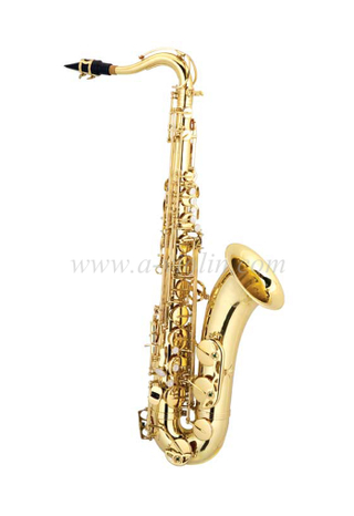 Тенор-саксофон школьного оркестра для начинающих учеников (TSP-G400G)