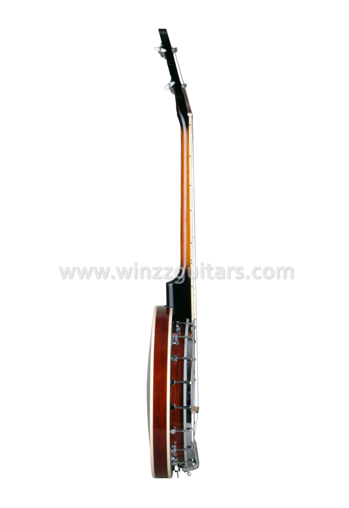 Голова Ремо 4-струнное китайское банджо (ABO184)