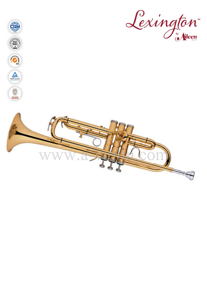 Профессиональная труба в американском стиле с корпусом премиум-класса (TP8394G)