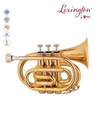 Цветная лакированная трубка Bb Key Pocket / Mini Trumpet (HTP8501C)