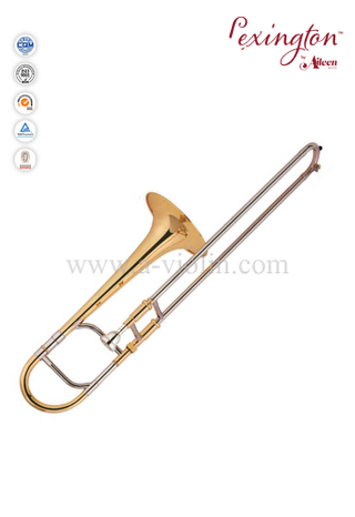 Профессиональный стандартный альт-тромбон с чехлом из ABS (TB9000G)