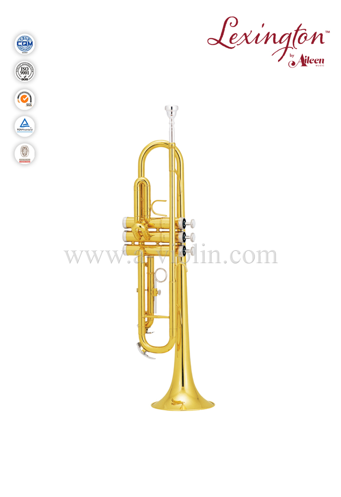 Bb Key Cupronickel с никелированным поршнем Желтая латунная труба jinbao (TP300G)