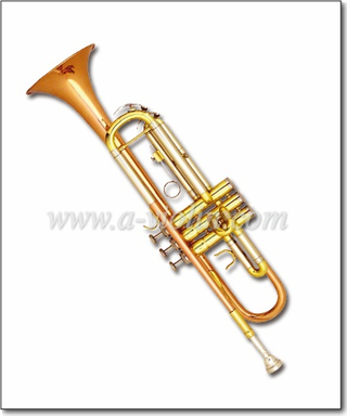 Профессиональная труба (TP8690)