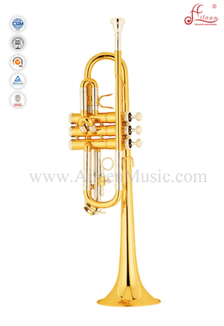 Профессиональный ключ C Труба (TP8790)